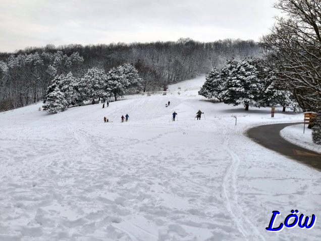 20.2.2026 - Wintersportler